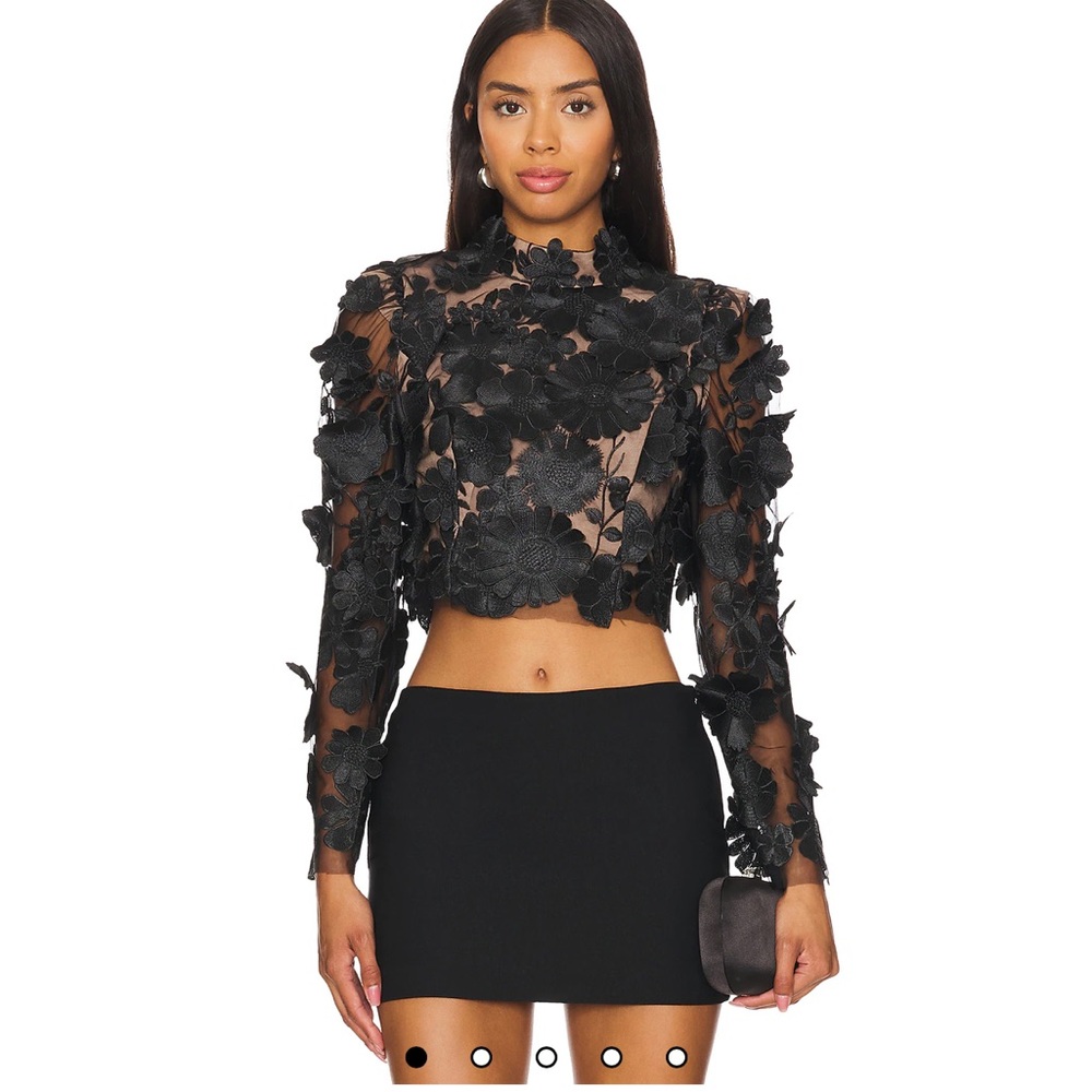Black Floral Sheer Crop Top